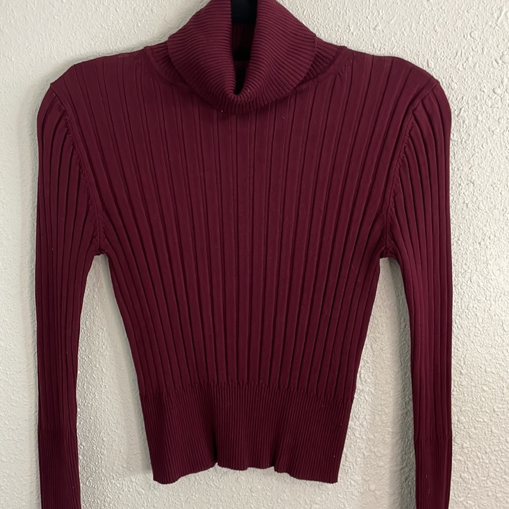 Zara ribbed turtleneck sweater.